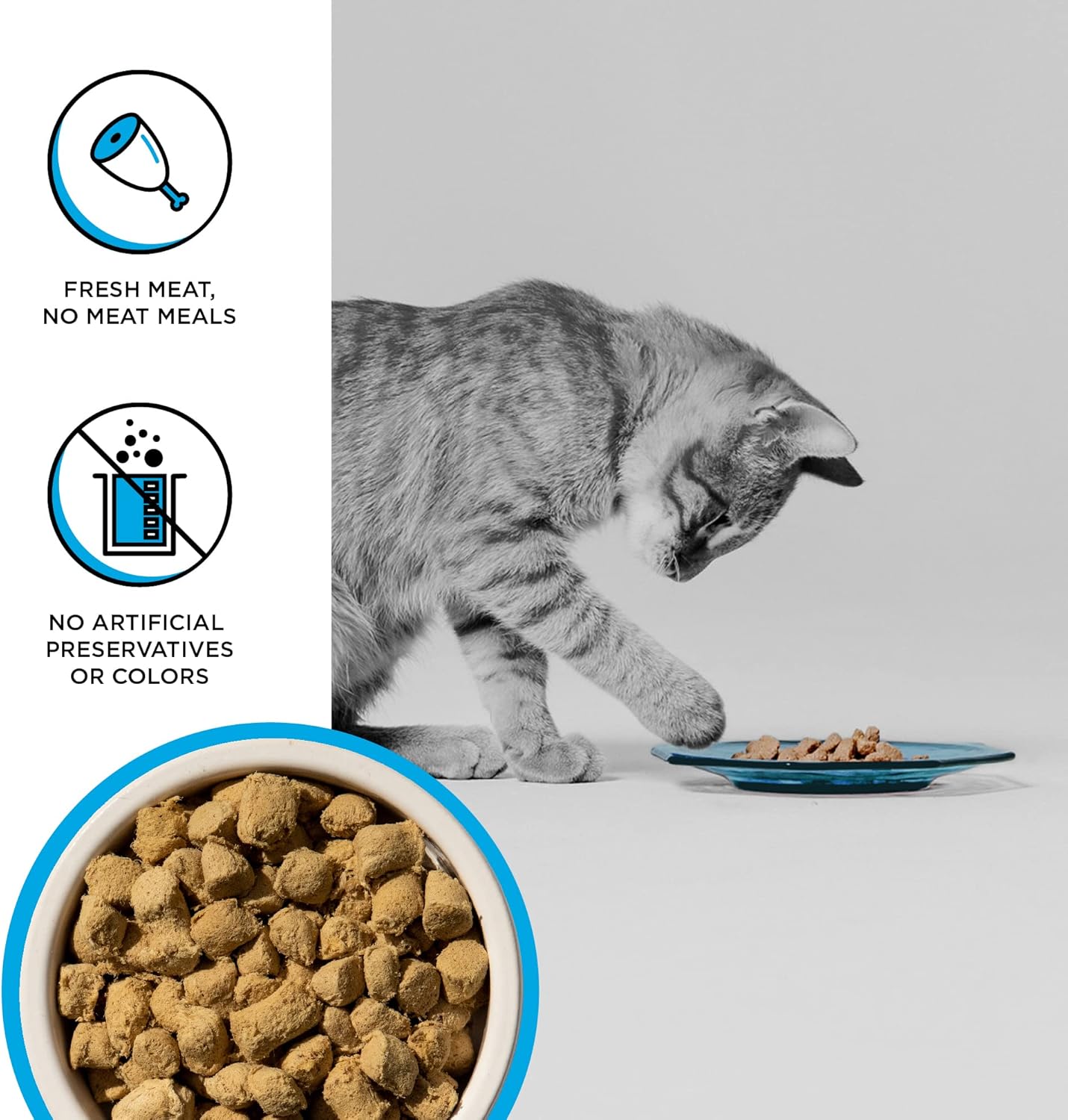 Bixbi Cat Rawbble Freeze - Dried Chicken & Salmon Grain - Free 3.5 oz - Happy Pet