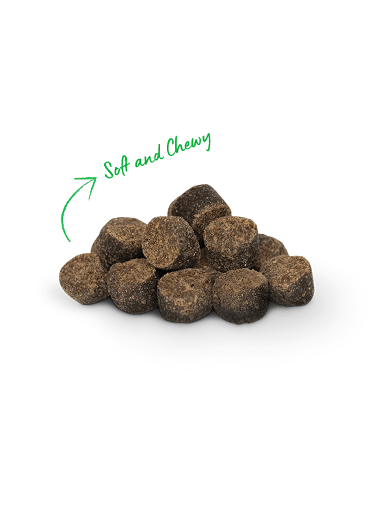 Open Farm Be Good Bites Chicken 6 oz - Happy Pet