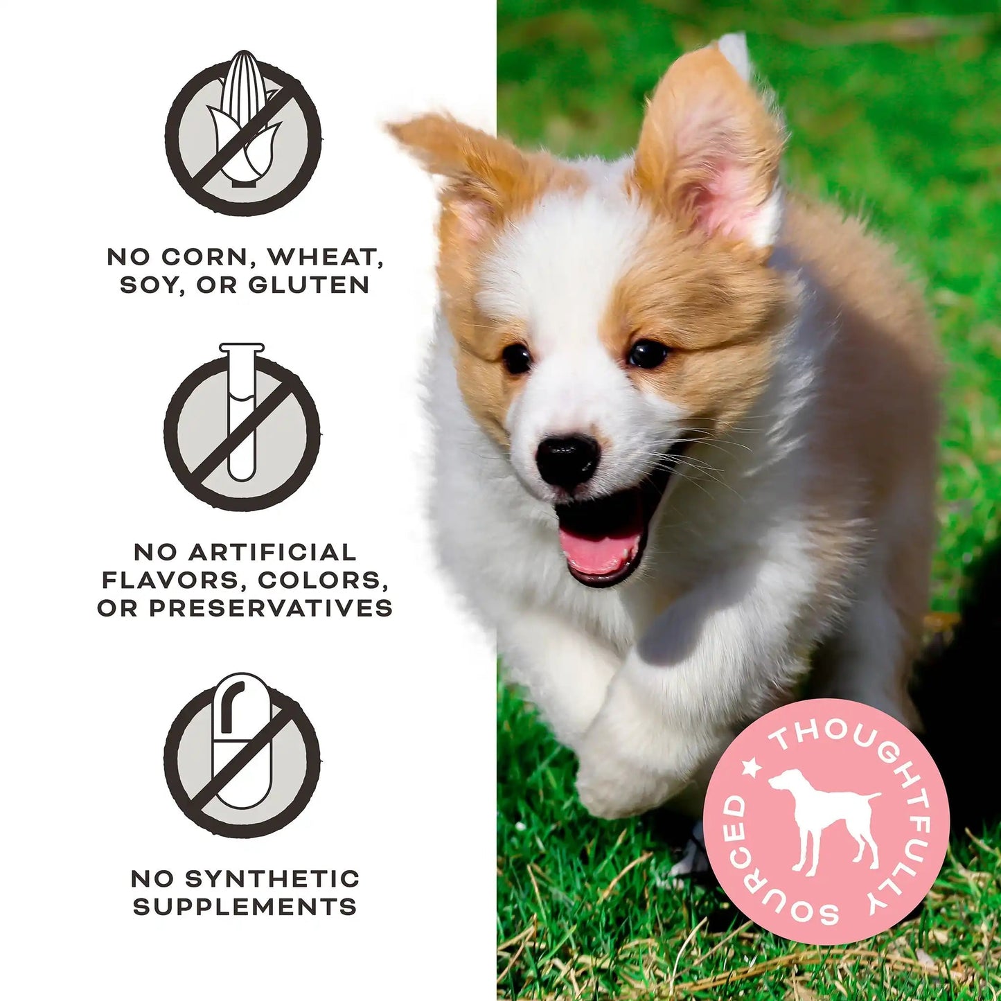 Primal Friendchips Matter! Chicken Jerky 4 oz - Happy Pet