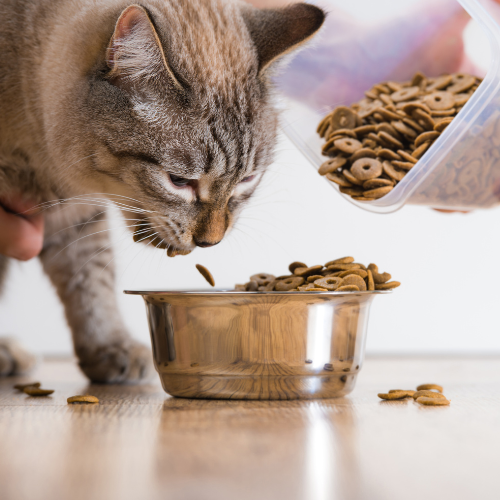 CAT FOOD - Happy Pet