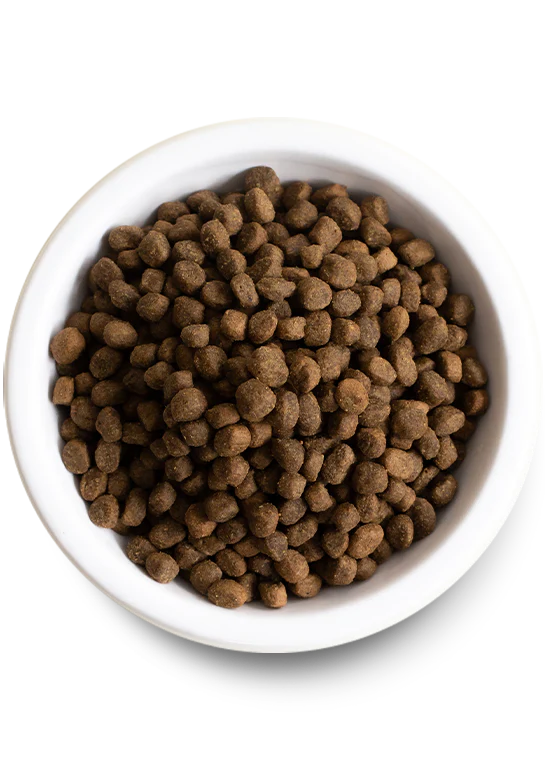 Open Farm Puppy Salmon & Sweet Potato Grain-Free 4 lbs - Happy Pet